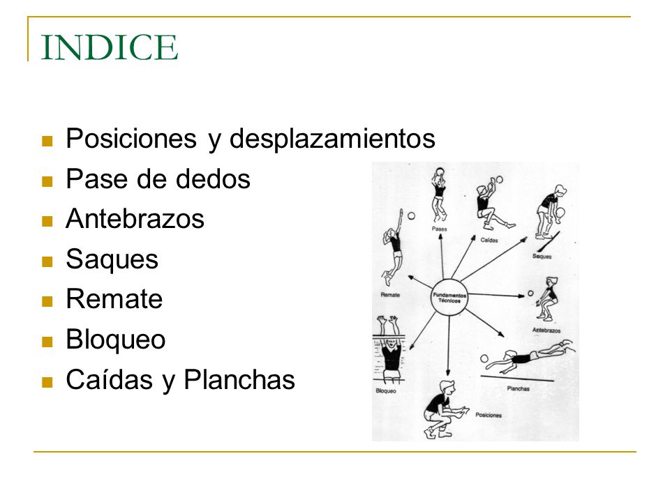 posiciones fundamentales y desplazamientos del voleibol posiciones fundamentales y desplazamientos del voleibol